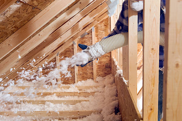 Weatherproofing Services in Cold Springs, NV